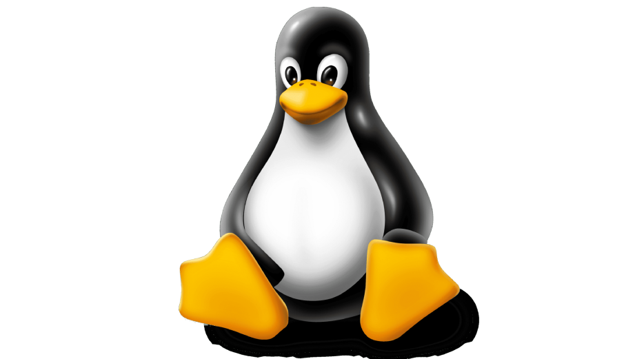 为 Linux 安装gcc